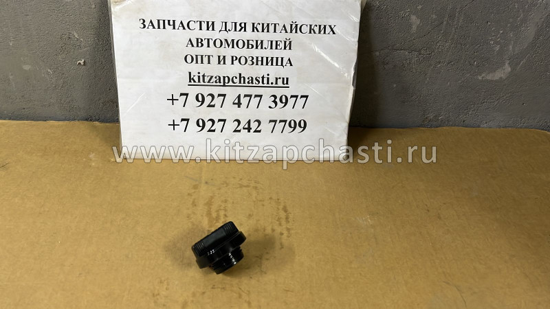 Крышка маслозаливной горловины HAVAL F7x 2,0 1003520A-EG01T